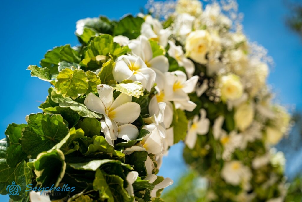 Íves boldogságkapu dísz fehér virágokkal és zöld levelekkel Baie Lazare tengerparton, Mahén.