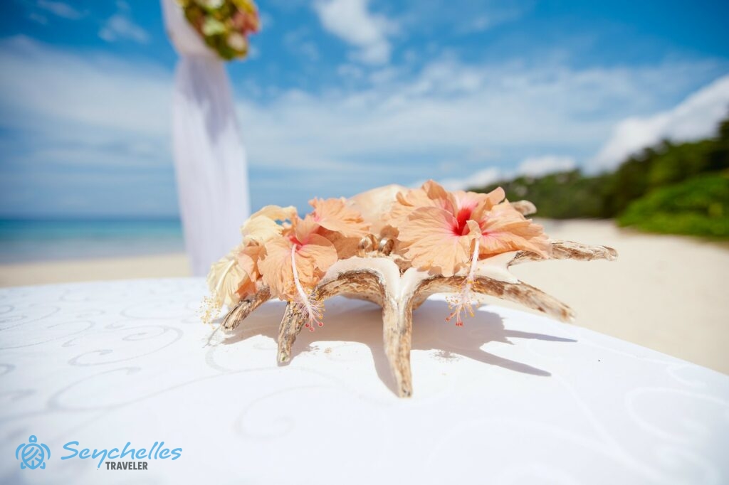 Barackszínű hibiszkusszal díszített csigaház gyűrűtartó az asztalon Mahén.