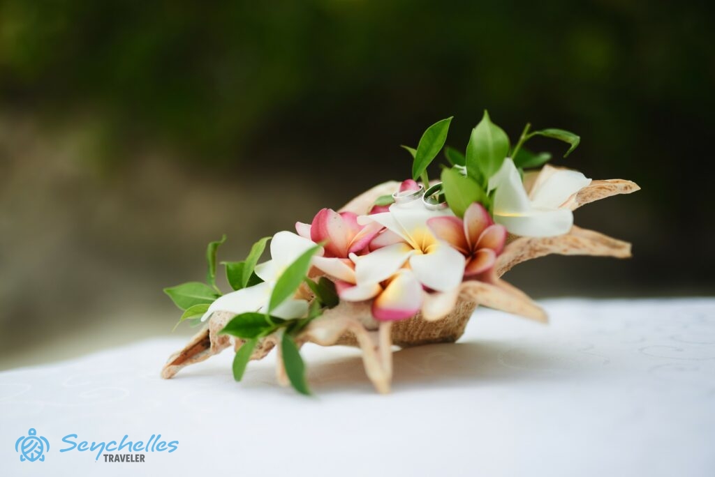 Frangipáni virágokkal és levelekkel díszített csigaház gyűrűtartó Mahén.