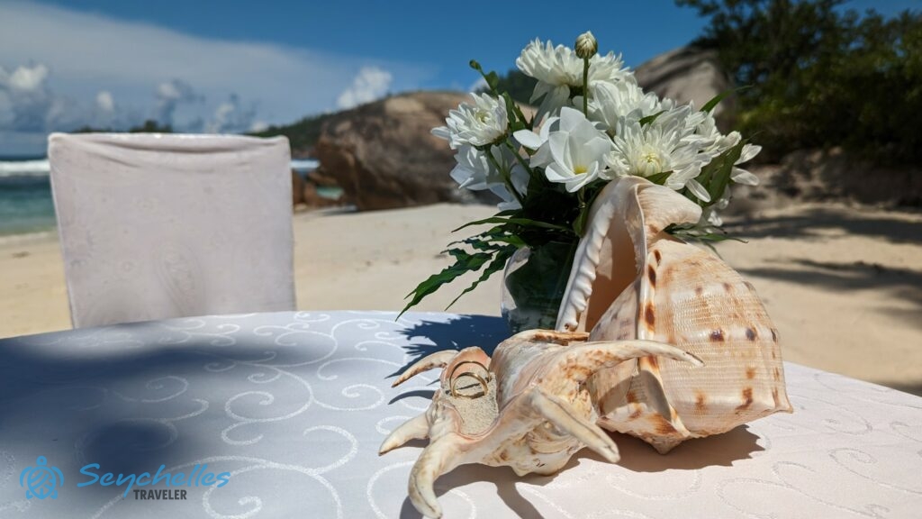 Gyűrűk a homokkal töltött tengeri csigaház gyűrűtartóban, mellette fehér virágok és egy további nagy csigaház.