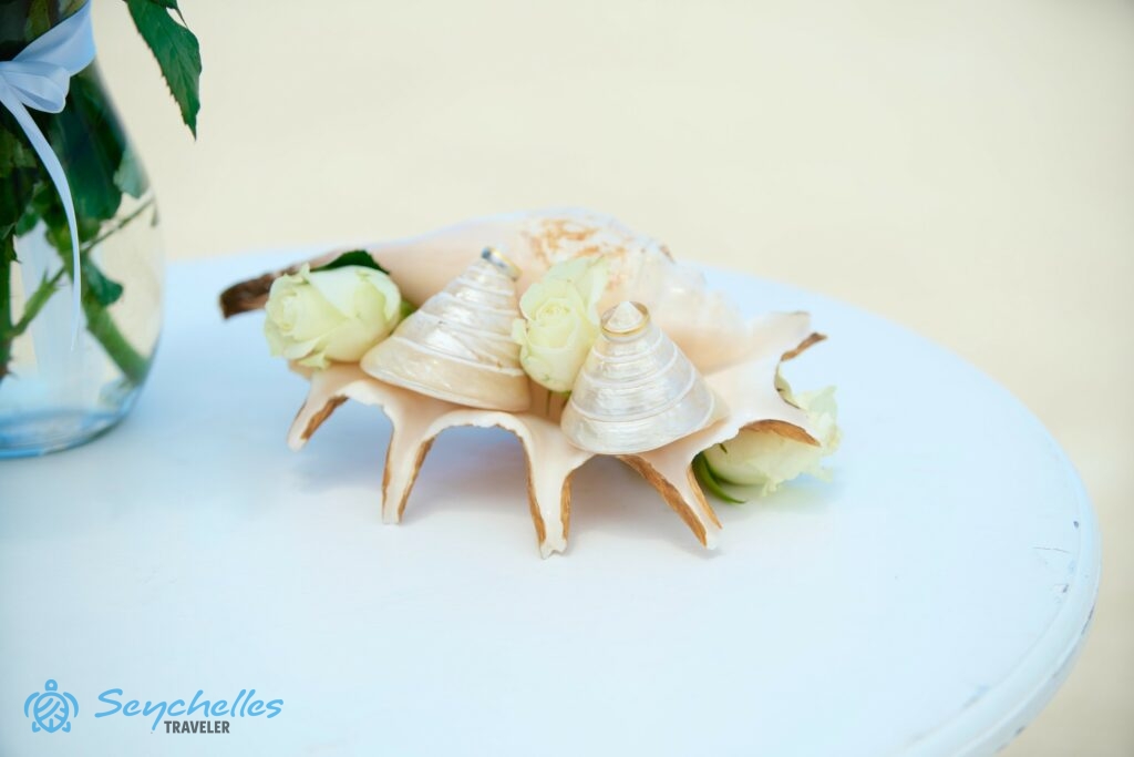 Gyűrűtartó két, lambis csigaházon elhelyezett, gyöngyház színű, kúp alakú csigaházzal, tetejükön a gyűrűkkel.