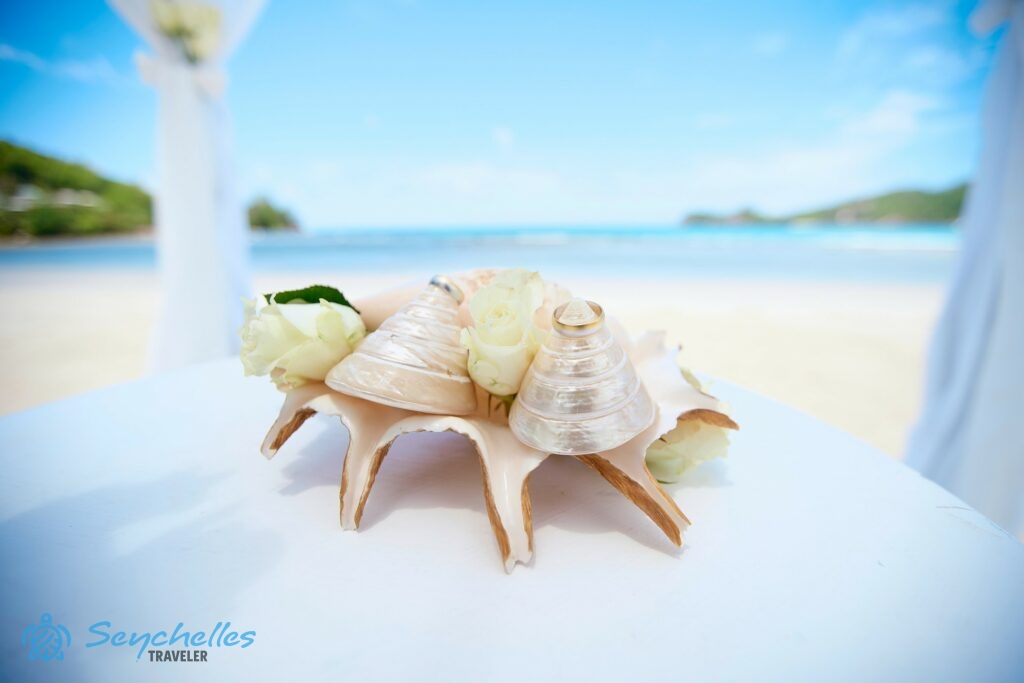 Kúp alakú, gyöngyház színű csigaház gyűrűtartók fehér rózsákkal.