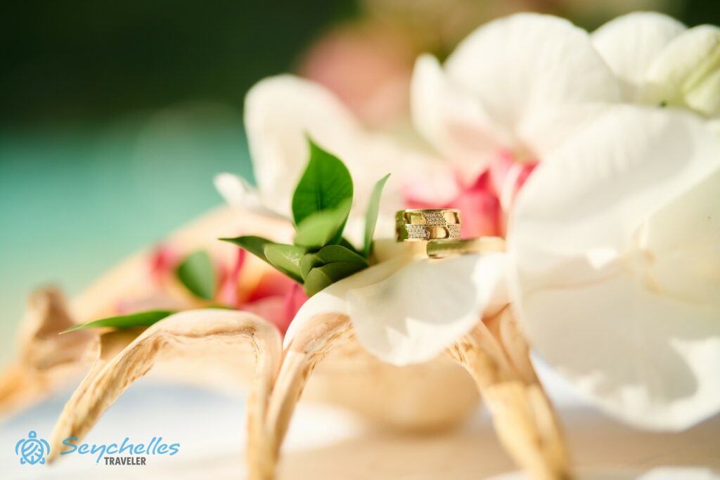 Két karikagyűrű pihen a lambis tengericsiga gyűrűtartón elhelyezett frangipáni virágokon.