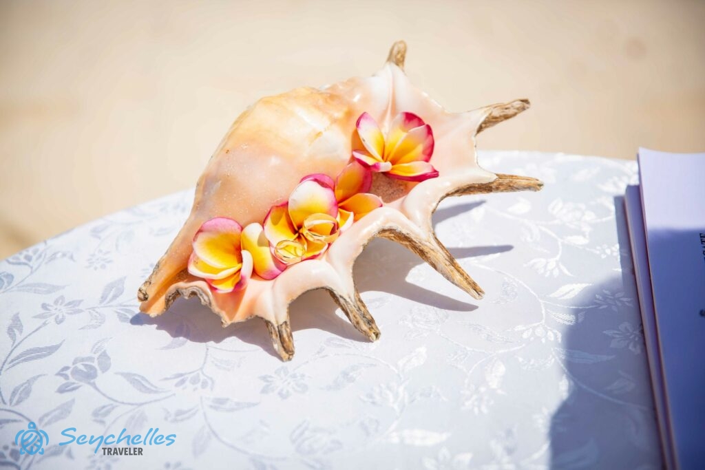 Tengeri csigaház gyűrűtartó színes frangipáni virágokkal.