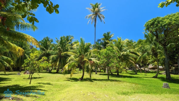Zöld füves park pálmafákkal Grande Soeur-szigeten.