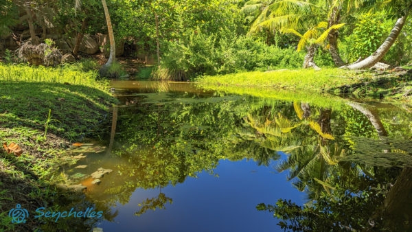 A dús trópusi növényzet visszatükröződik a tó vizén Grande Soeur-szigeten.