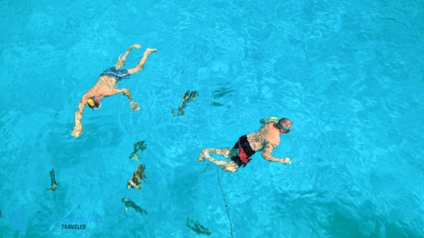 Denevérhalak úszkálnak a sznorkelezők körül Baie Ternay Tengeri Nemzeti Parkban.