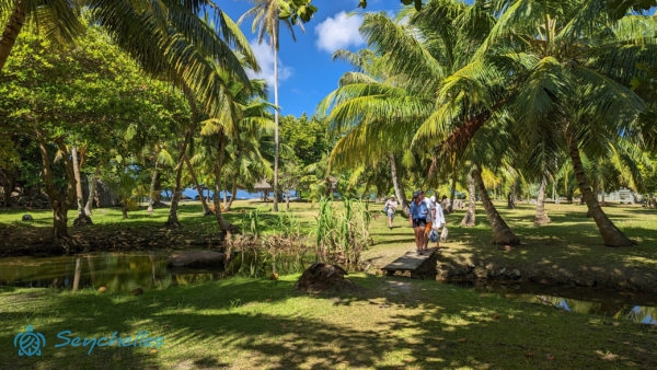 A látogatók egy kis hídon kelnek át pálmafák között.