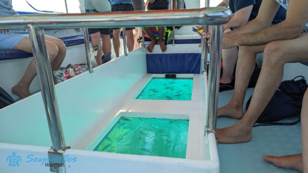 Őrmesterhalak csoportja figyelhető meg a hajó átlátszó fenekén keresztül.