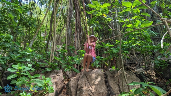 Egy látogató banyánfa indán hintázáshoz készül egy sziklán Aride-szigeten.