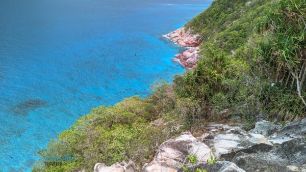 Az északi szikla alatt madarak csoportja repül, alattuk a kristálytiszta óceán látszik Aride-szigeten.