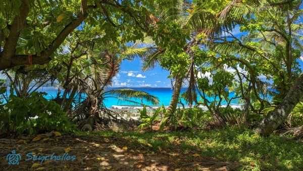 Kilátás a sűrű növényzet között a tengerre a túraútvonalról Aride-szigeten.