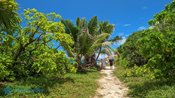 Látogatók járják a túraútvonalat Aride-szigeten, a távolban az óceán ezer színű kékje.